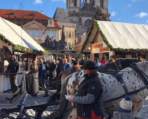 spotted horse, church, Prague market