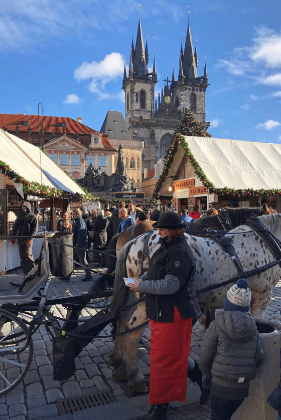 Christmas Cruising on the Picturesque Danube